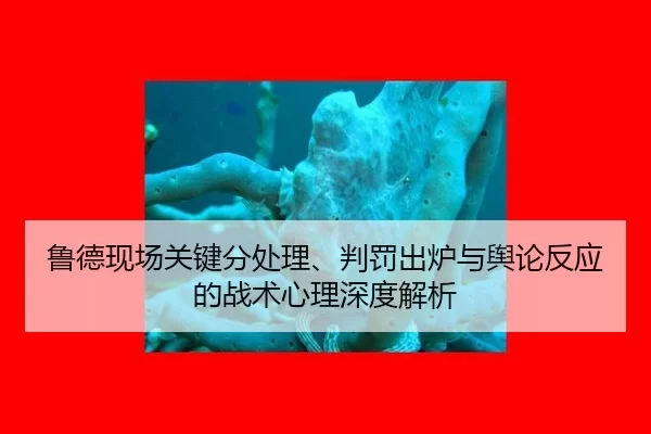 鲁德现场关键分处理、判罚出炉与舆论反应的战术心理深度解析